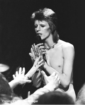 Bowie hands fans