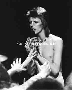 Bowie hands fans